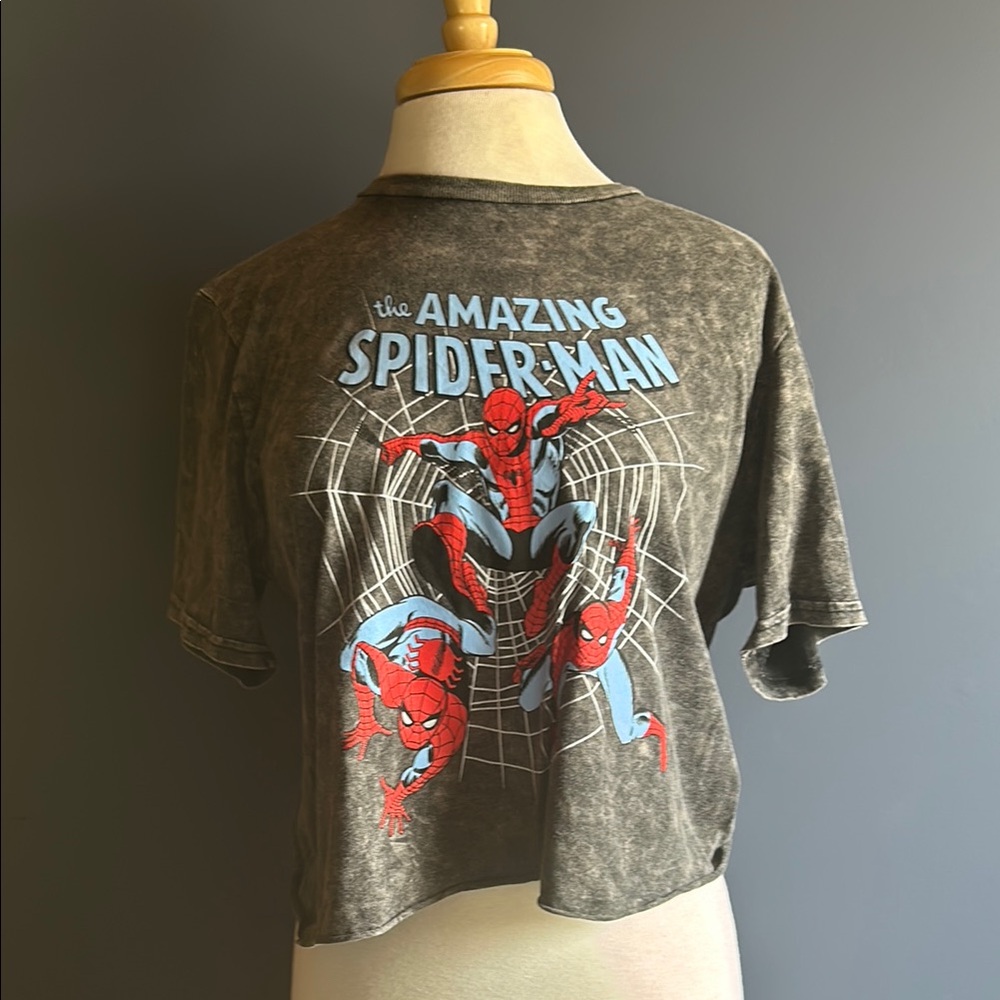 The Amazing Spider-Man Kids Gray T-Shirt